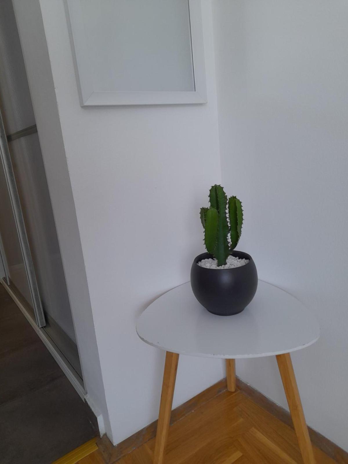 Nikola Ns Apartman Újvidék Kültér fotó
